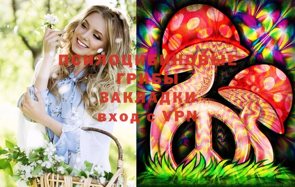 прущие крисы Переславль-Залесский